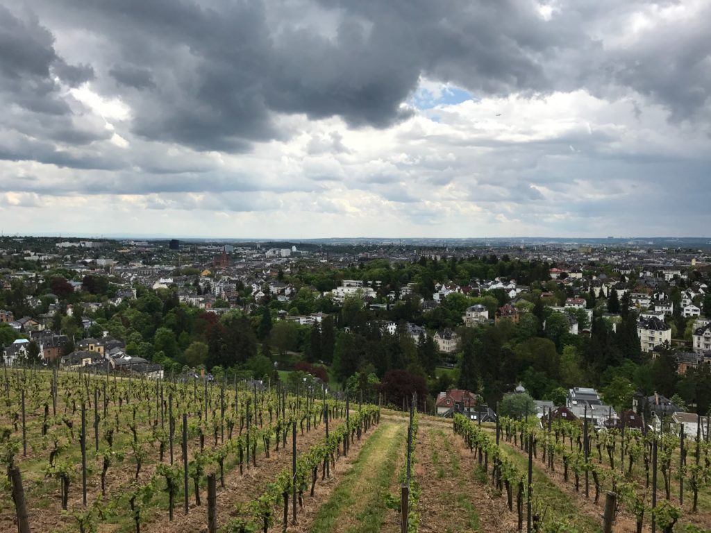 View over Wiesbaden from Neroberg