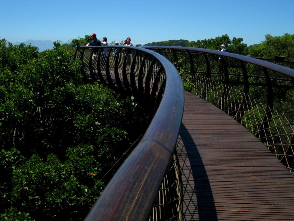 Baumwipfelpfad Kirstenbosch Kapstadt