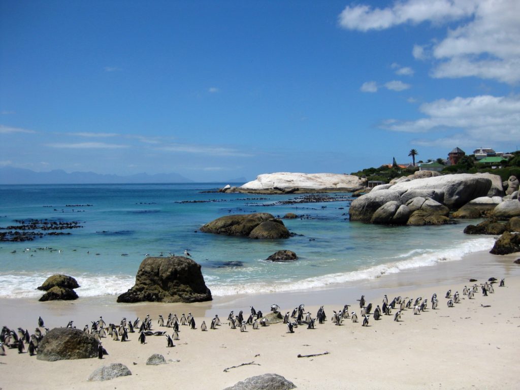 Boulder's Beach