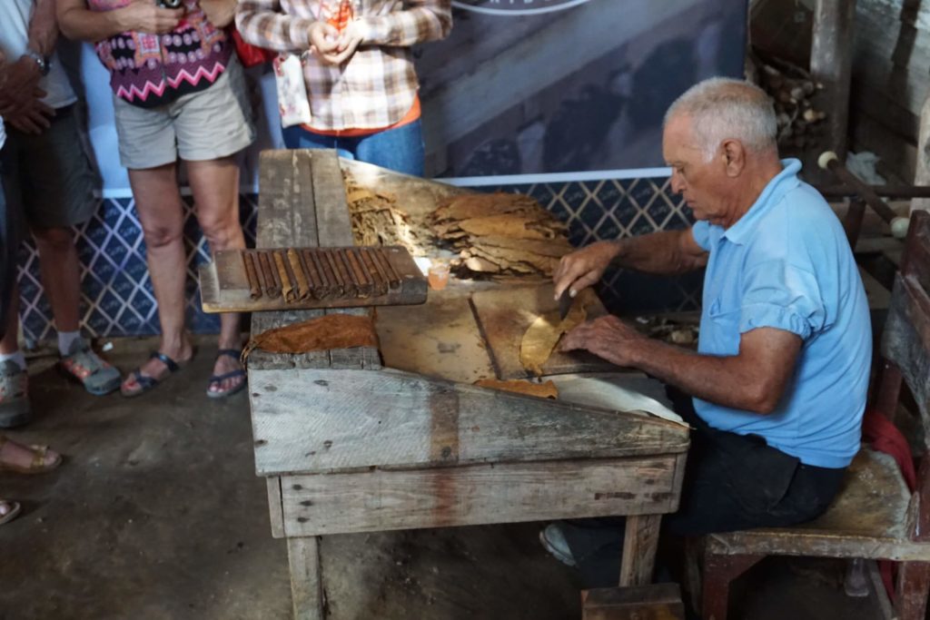 Tabakplantage Robaina, Zigarrendreh, Pinar del Rio, Kuba
