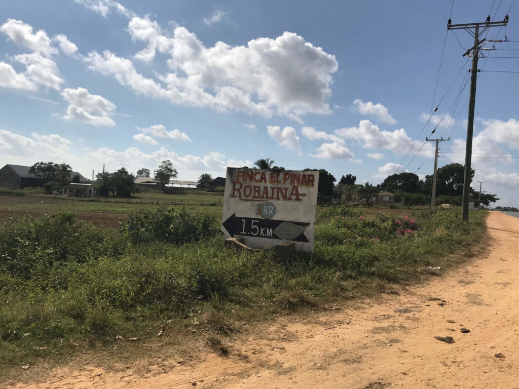 Finca El Pinar Robaina - 1.5 km, Pinar del Rio, tobacco plantation