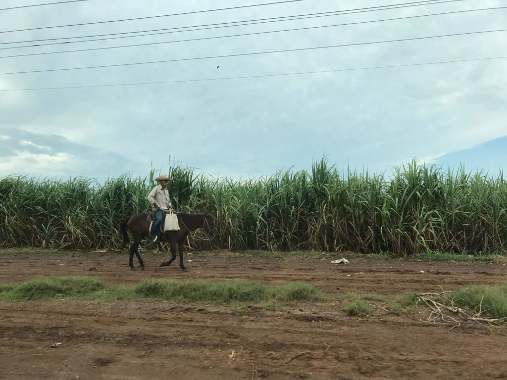 Cuban with Horse, Cienfuegos, Cuba