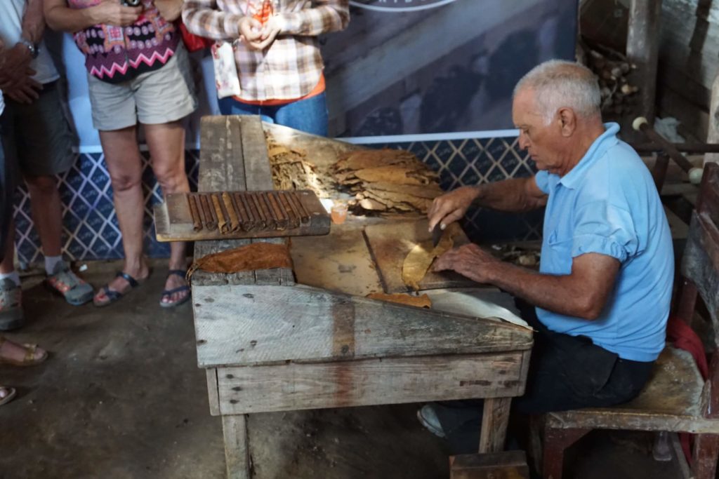 Tobacco Plantation Robaina, Cigar-rolling, Pinar del Rio, Cuba