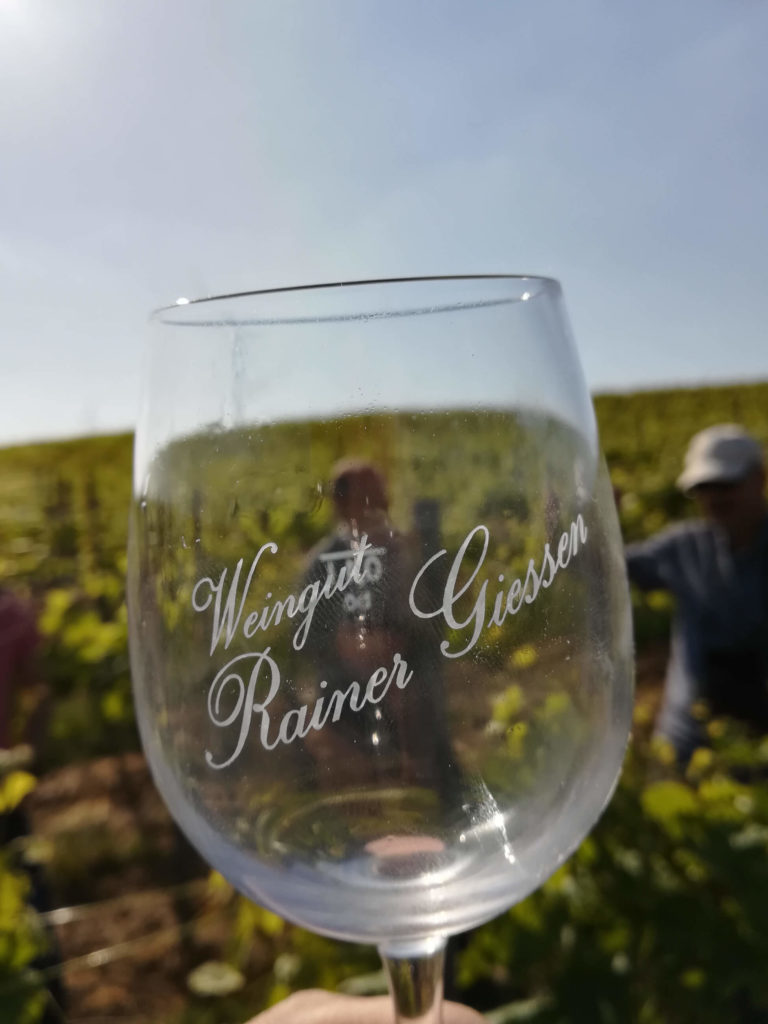 2. Weingut Rainer Gießen - Weinwanderung im Zellertal