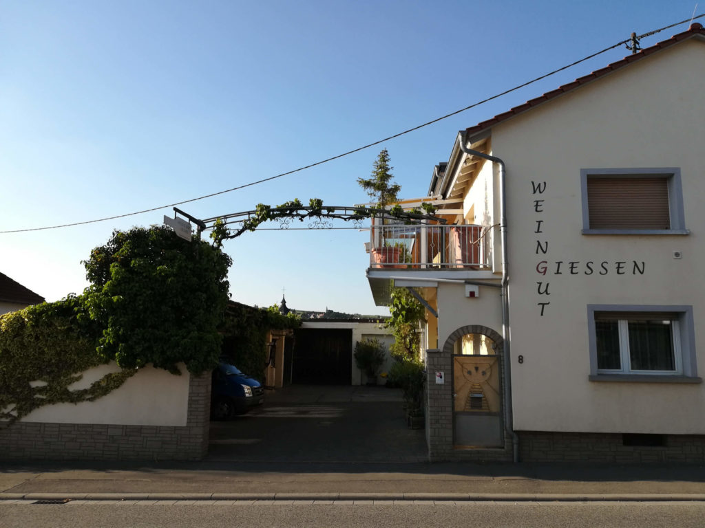 7. Weingut Rainer Gießen - Weinwanderung im Zellertal