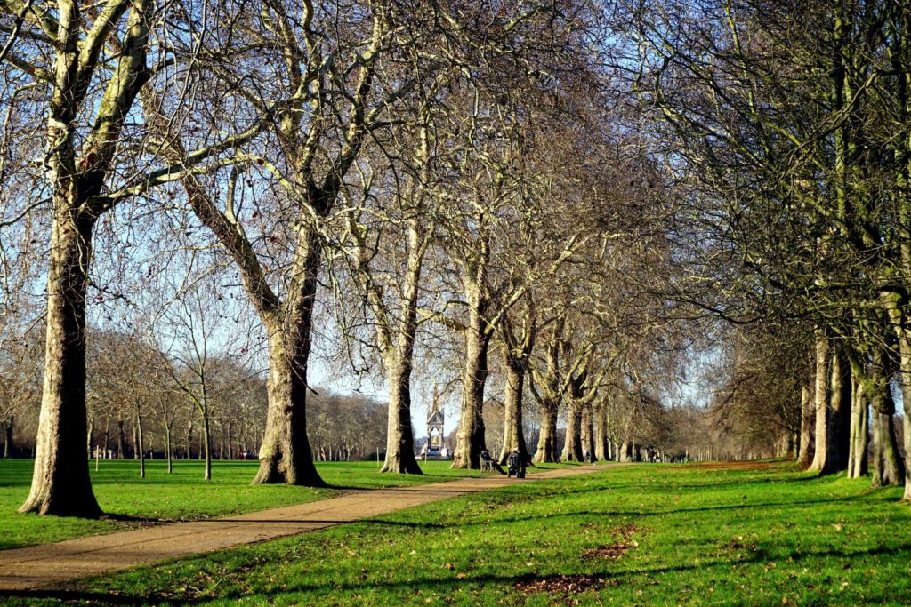 Hyde Park