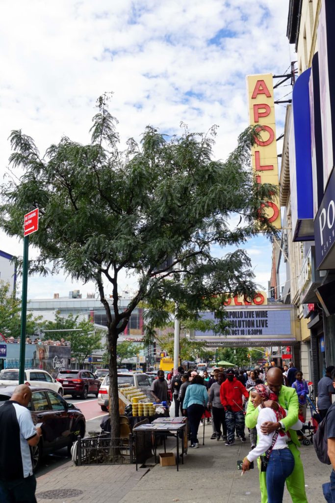 New York Harlem Apollo