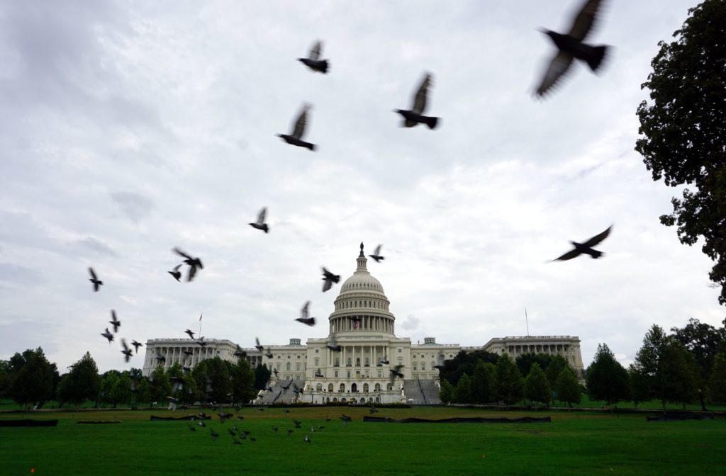 Washington Capitol