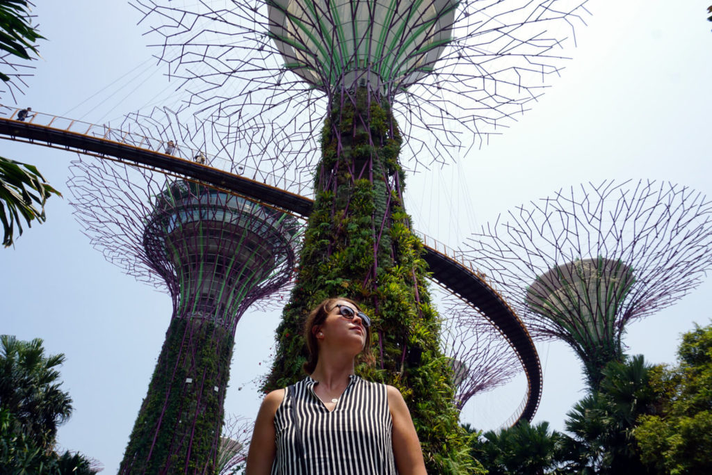 Supertrees - Gardens by the Bay - Singapur