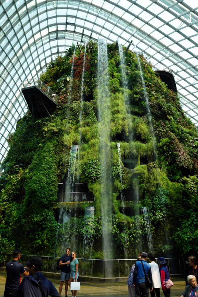 Cloud Forest - Gardens by the Bay - Singapur