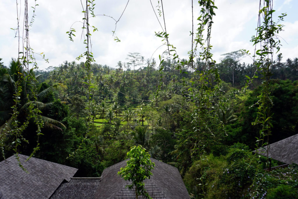 Jannata Resort & Spa - Bali - Ubud