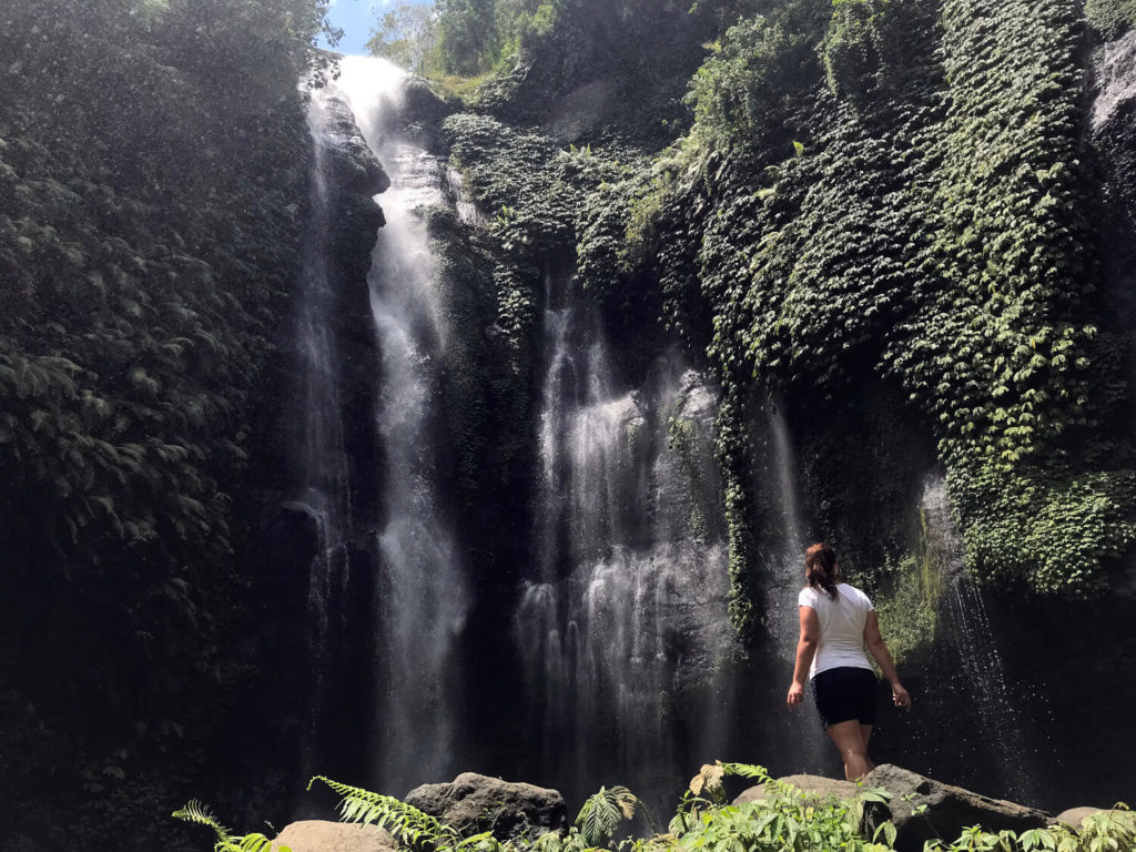 Fiji Wasserfall - Bali
