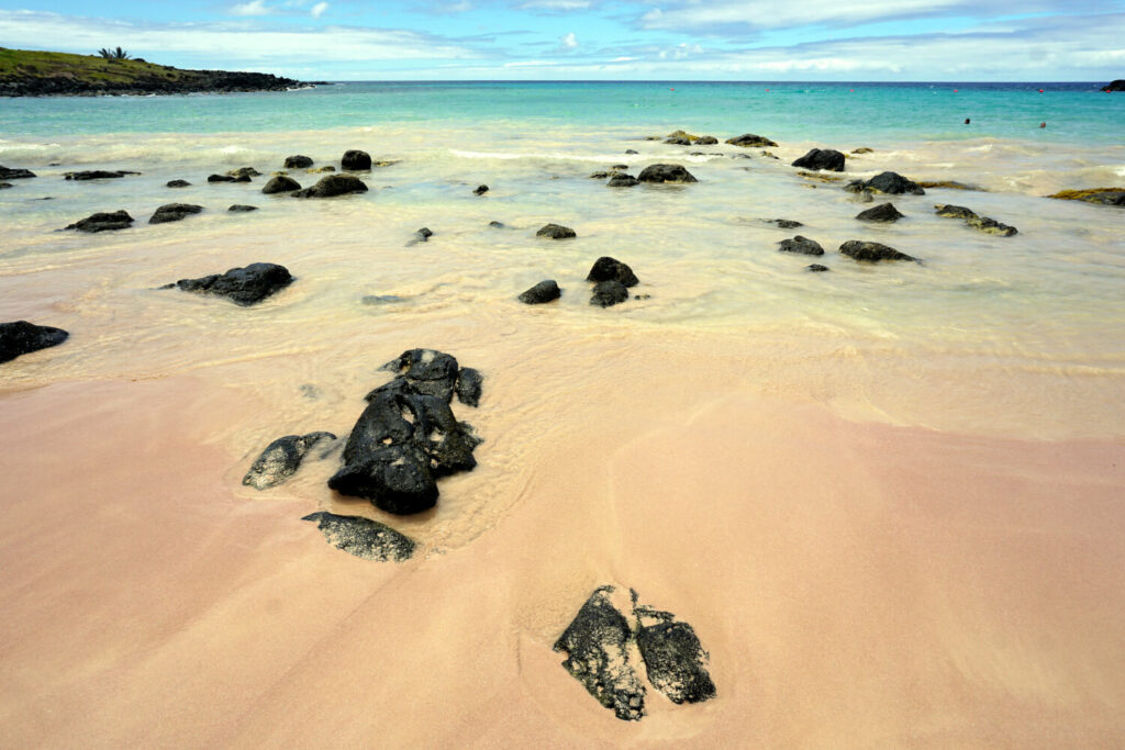 Anakena Rapa Nui