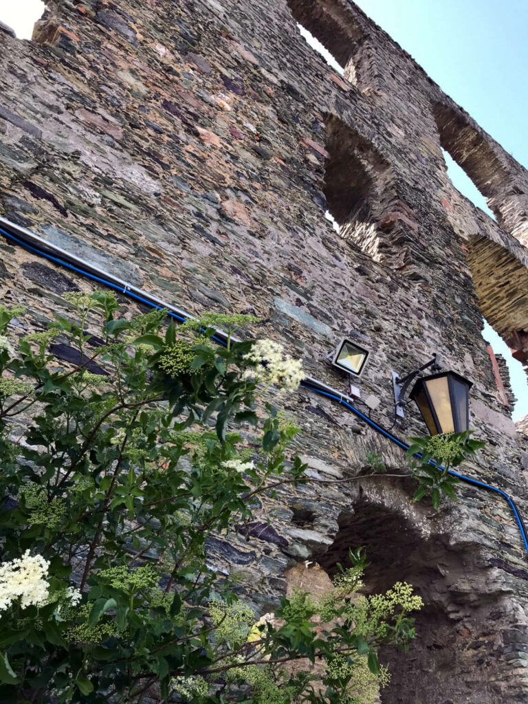 Königstein Castle Ruin