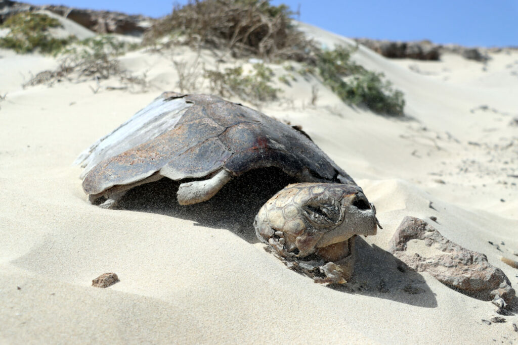 Praia da Atalanta - Cabo Verde