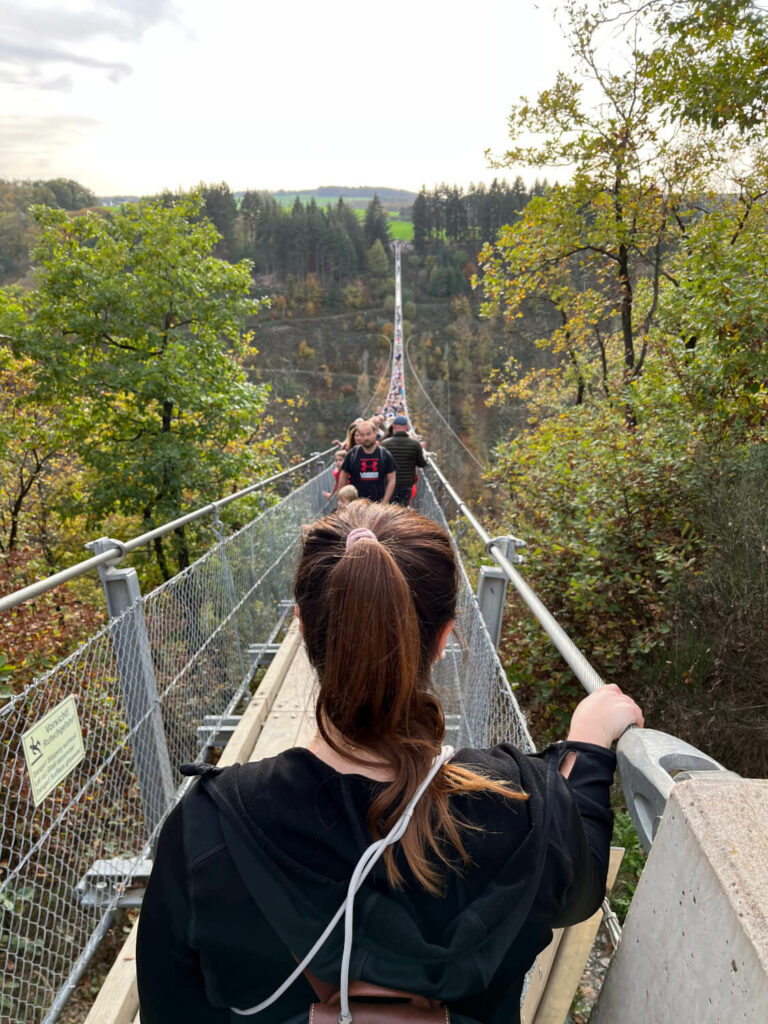 Geierlay Suspension Cable Bridge