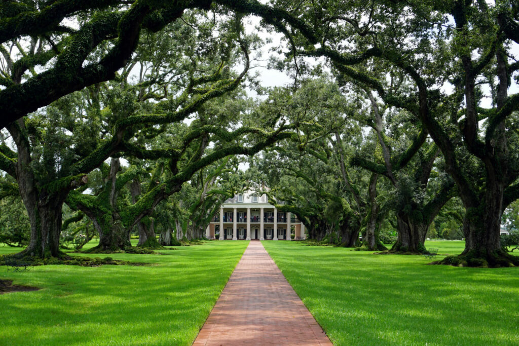 Oak Alley Plantation