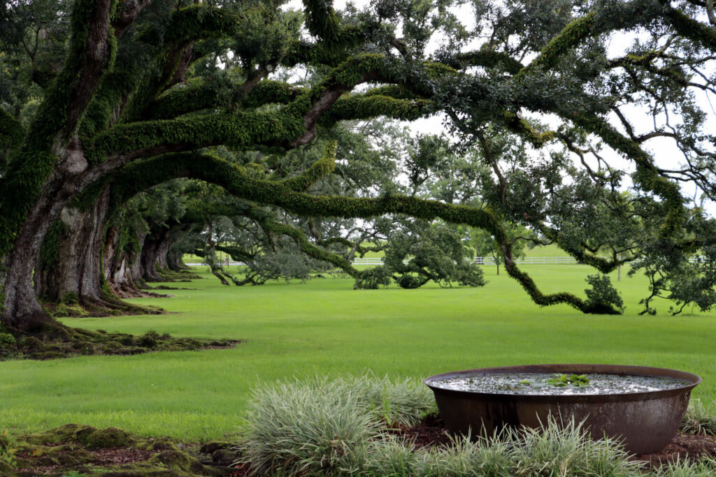 Oak Alley Plantation